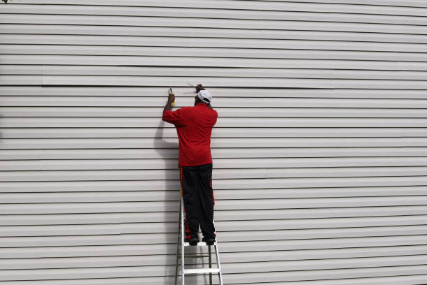 Best Stucco Siding  in Hinsdale, IL