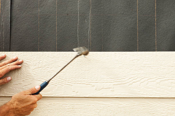 Best Fascia and Soffit Installation  in Hinsdale, IL